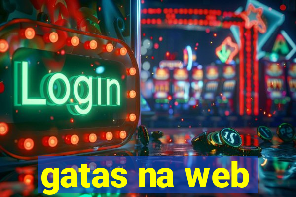 gatas na web